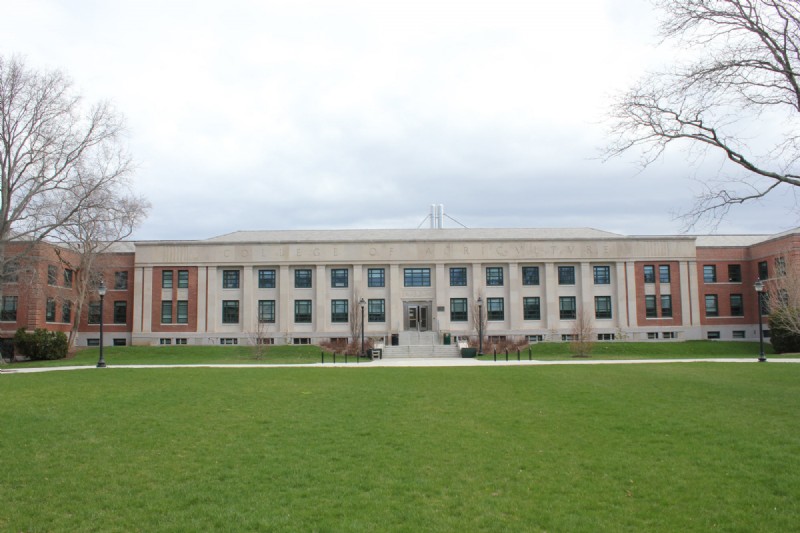 Wilfred B. Young Building, UConn
